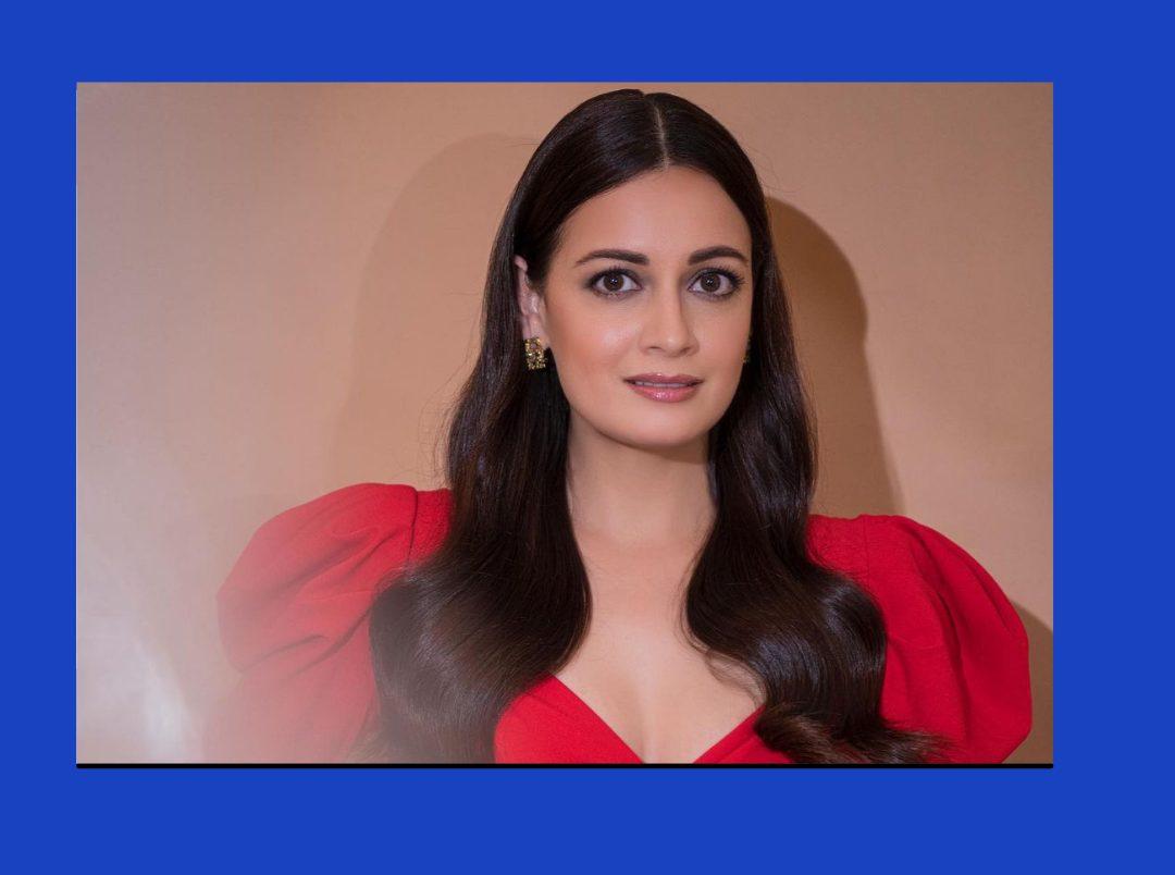 Dia Mirza Red Dress