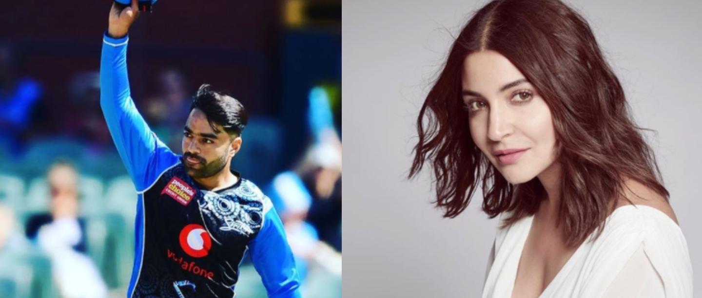 अनुष्का शर्मा हैं अफगानिस्तान क्रिकेटर राशिद खान की पत्नी? जानें क्या है माजरा