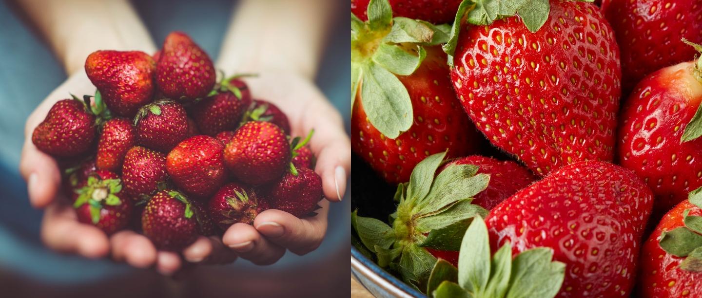 स्ट्रॉबेरी के फायदे और नुकसान, Strawberry Benefits in Hindi, Strawberry in Hindi