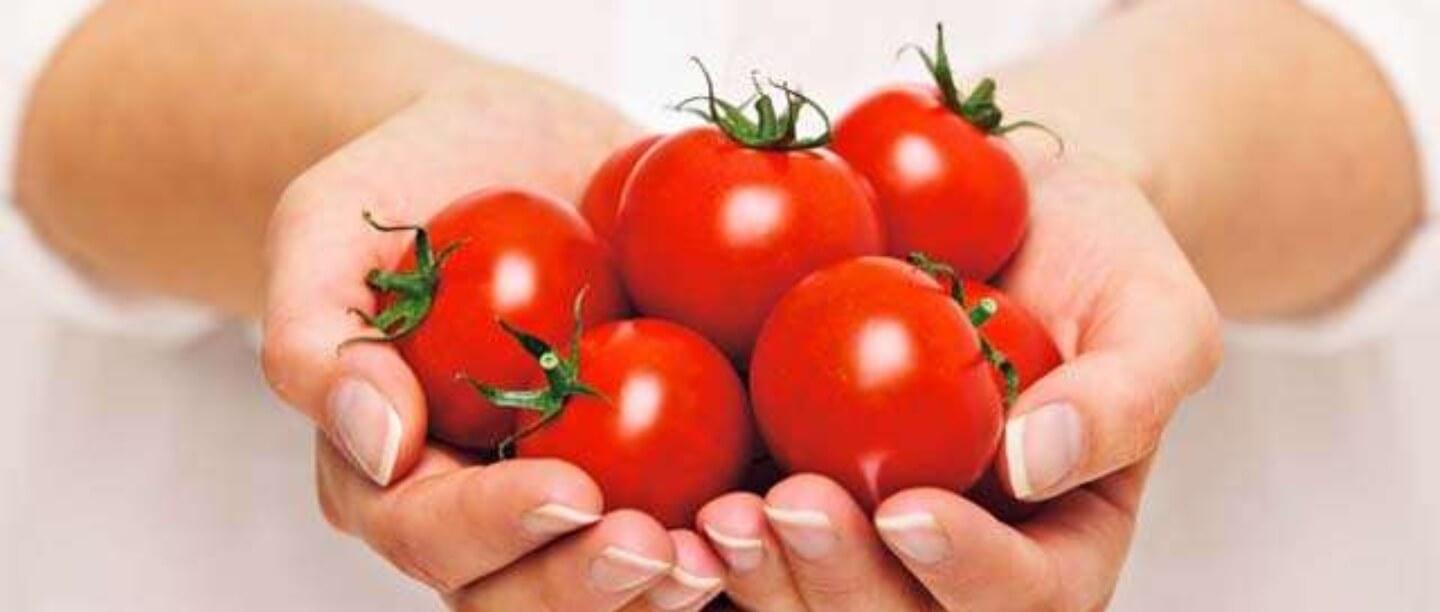 Tamatar ke Fayde, टमाटर के फायदे और नुकसान, Tomato in Hindi