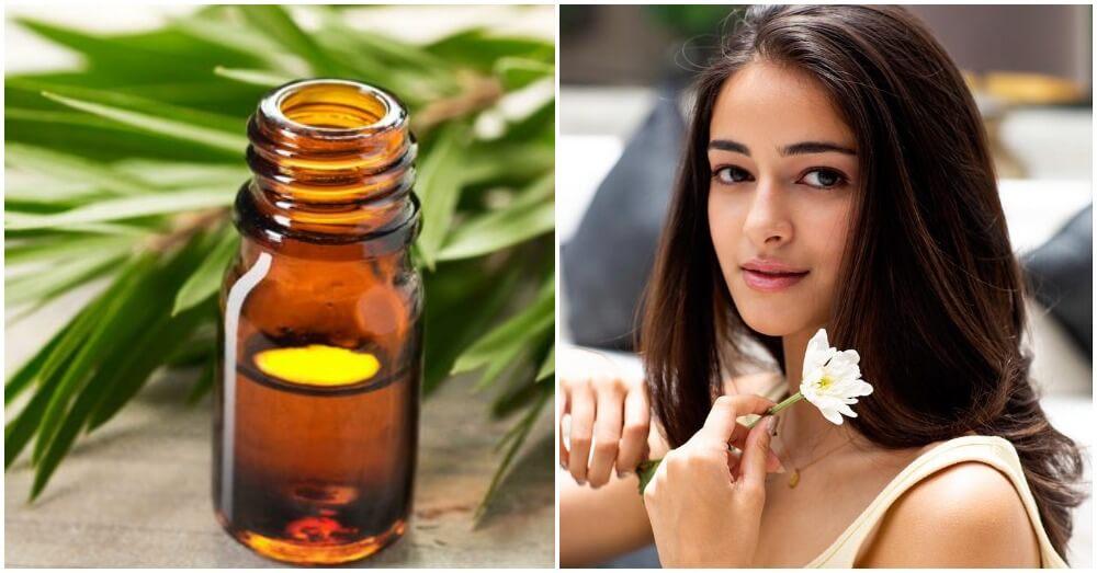 टी ट्री ऑयल के फायदे - Tea Tree Oil in Hindi, Tea Tree Oil ke Fayde in Hindi