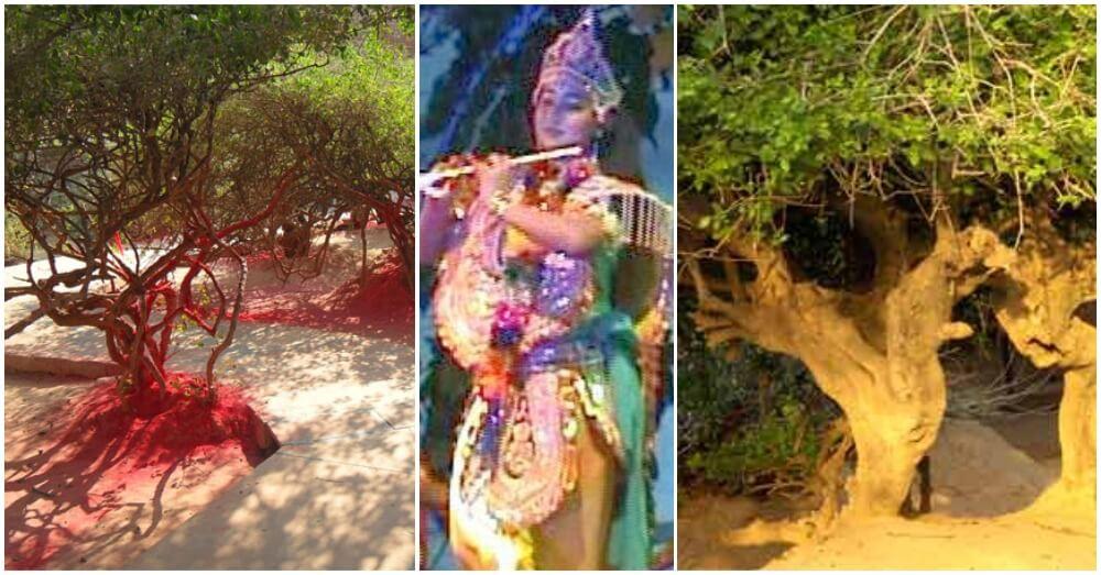 रहस्यमयी है वृंदावन का निधिवन, जिसने भी देखी यहां की रासलीला हो गया पागल &#8211; Mystery About Nidhivan in Hindi