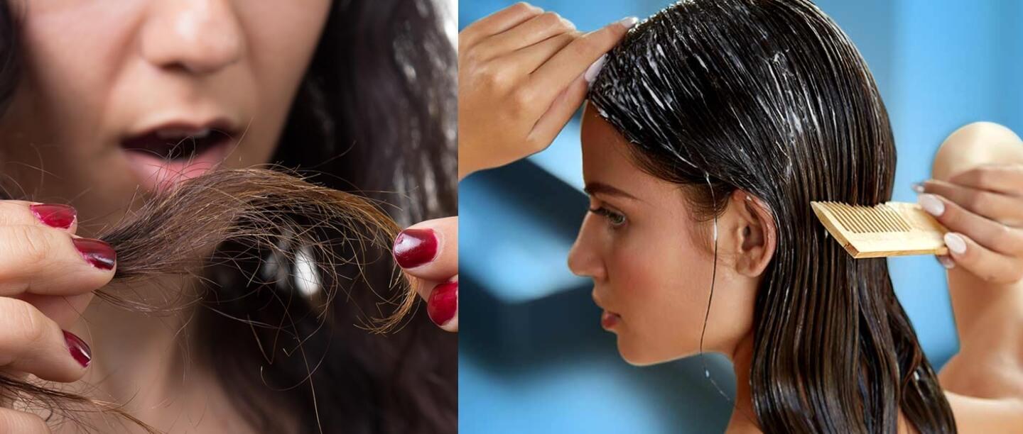 दो मुंहे बालों की समस्या से छुटकारा पाने के लिए ट्राई करें ये DIY होममेड हेयर मास्क रेसिपी
