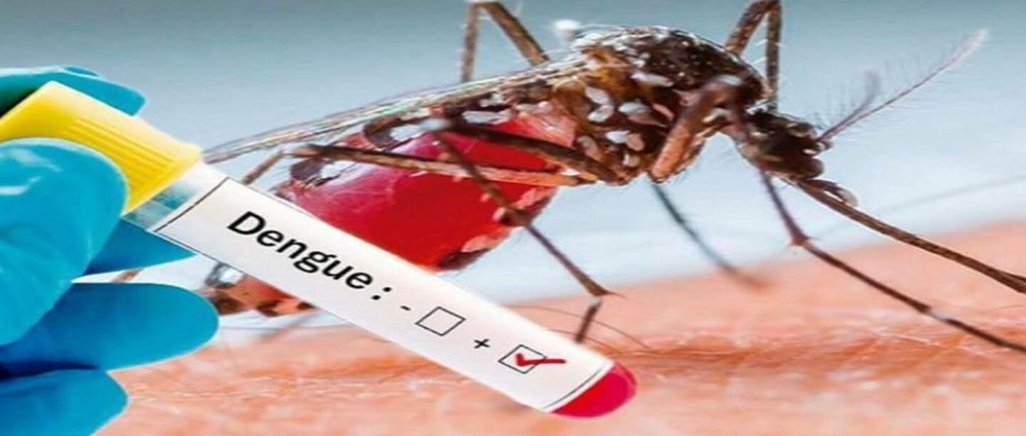 #एक्सपर्ट Tips: डेंगू की रोकथाम के लिए इन 5 उपायों पर जरूर से दें ध्यान