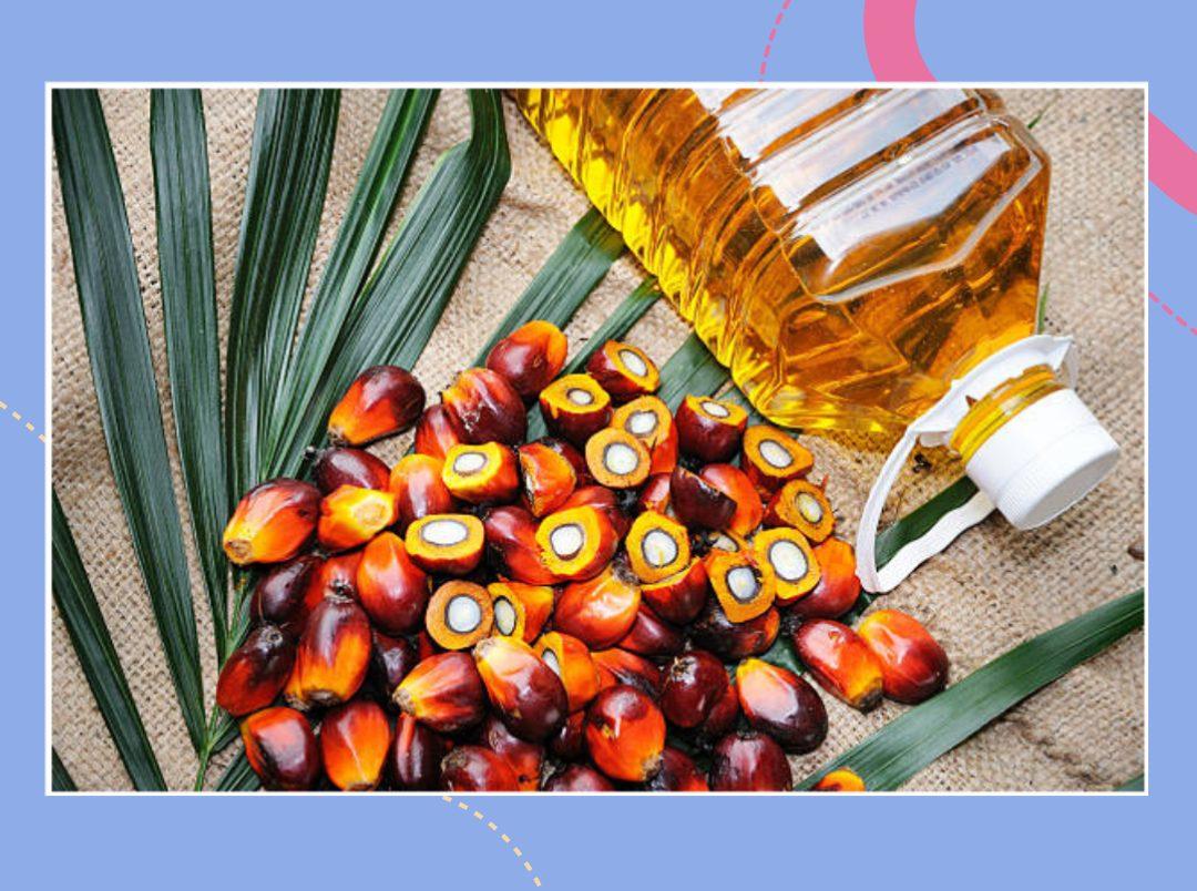 Palm Oil in Hindi