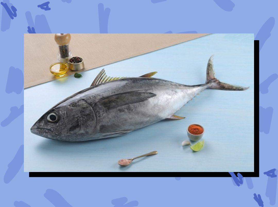 Tuna Fish in Hindi